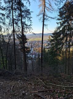 Foto von Gerald Wang entlang der Tour