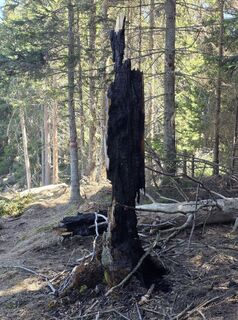 Photo de Florian Dürnegger le long du parcours