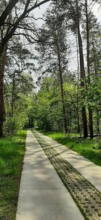 Elberadweg