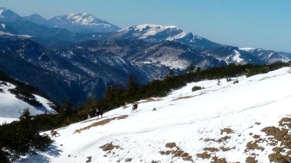 Fotografia z Marcin 1 na trase