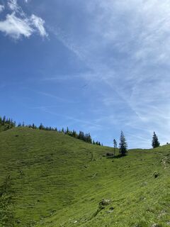 Foto de Sven Krieblin a lo largo del recorrido