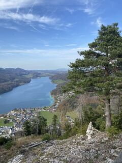 Foto da Caroline Hutter lungo il tour