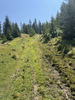 Foto von Kristoffer Nielsen entlang der Tour