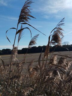 Fotografia z Stephane Cappellaro na trase