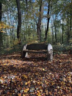 Foto fra Jacky undervejs på turen