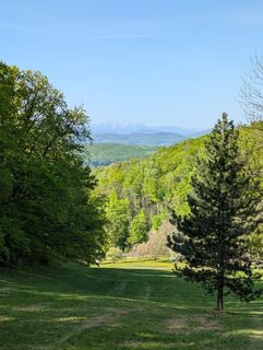 Fotografie z s3ns3 na trase