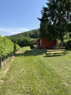 Foto von Diana Müller entlang der Tour