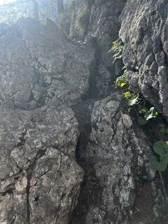 Foto von Carola Krems entlang der Tour
