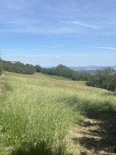 Foto de Susanne Weissofner a lo largo del recorrido