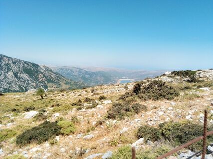 Photo de MopsBiene le long du parcours