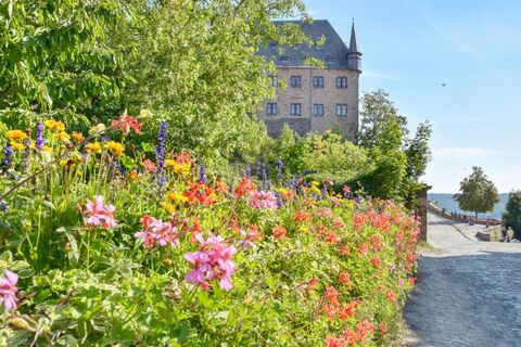 MSLT marburger-landgrafenschloss-im-sommer.jpg