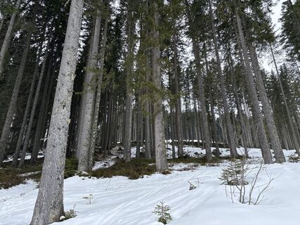 Photo de Heinz Sperl le long du parcours