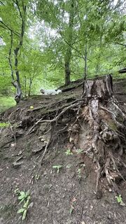 Foto von Richard Forchtner entlang der Tour