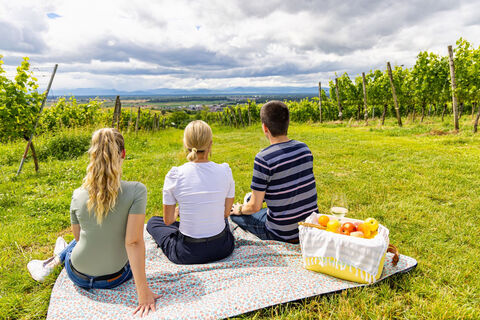 Erlebnisregion Europa-Park_Picknick in den Weinbergen mit Blick in die Region