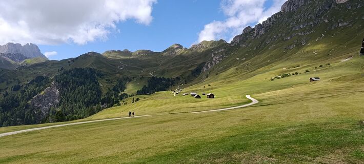 Foto de Sasha wo a lo largo del recorrido