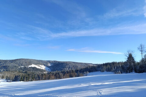 Todtmoos Wanderung Auf den Spuren der Schlittenhunde 6