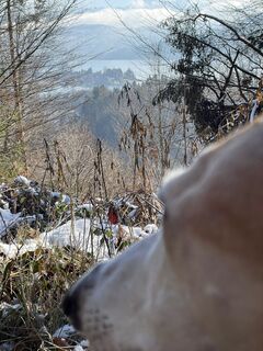 Foto von Stefan Chalupa entlang der Tour