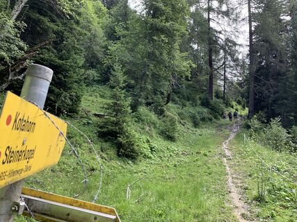 Foto von Koen De Wit entlang der Tour
