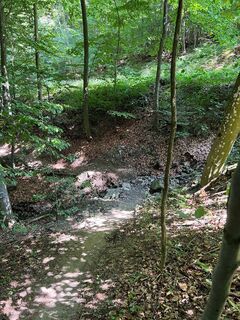 Pyhra Trail