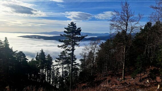 Zdjęcie z Regina Fleischmann wzdłuż trasy