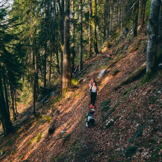 Inzell Gamsknogel Kohleralm Wanderung