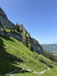 Fotografie de la W.M. de-a lungul turului