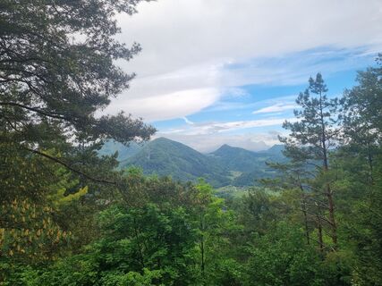 Foto de Grizli a lo largo del recorrido