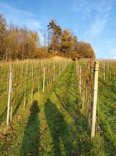 Foto de Ingeborg Novacek a lo largo del recorrido