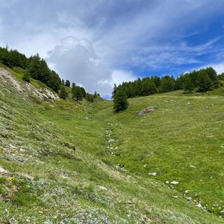 kurz nach der Alpe Brischeru