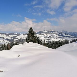 Winter Wolzenalp
