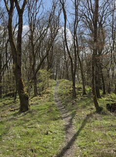 Foto von Christiane Schütz entlang der Tour