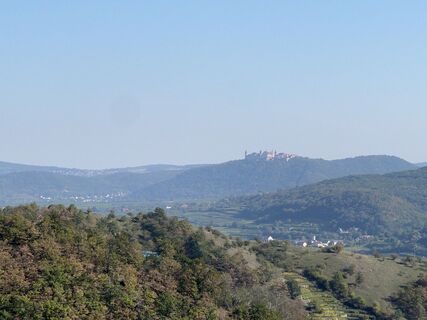 Photo de Martin-S le long du parcours