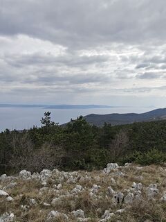 Fotografija s spletne strani Edit Szabó 1 na poti