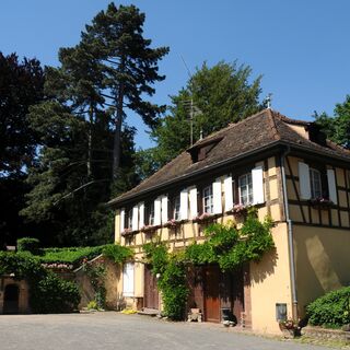 Der Garten der Folie Marco - Barr