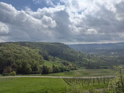 Foto de Gregor Schalhorn a lo largo del recorrido