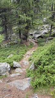 Foto von Daniel Härtel entlang der Tour