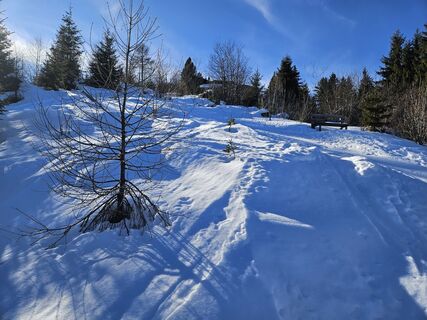 Photo de fitzingh le long du parcours