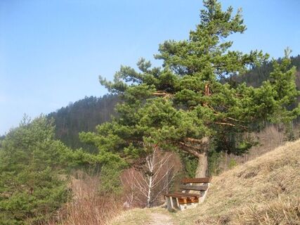 St. Ädyd - Zdarsky Hütte - Paulmauer