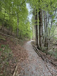 Photo de Melánia Meli le long du parcours
