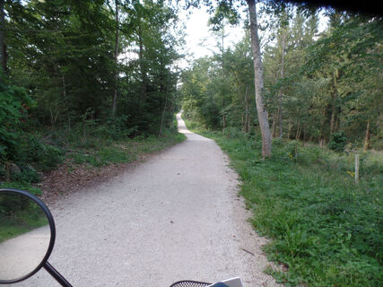 Wegbeschaffenheit auf dem Traufgang Zollernburg-Panorama