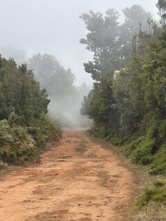 Photo de József Ténai le long du parcours