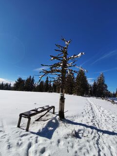 Fotografija s spletne strani v.stein na poti
