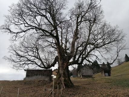Foto de Turbinio a lo largo del recorrido
