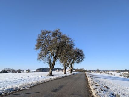 Foto von Stefan Bock entlang der Tour