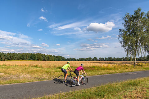 Rennradtour vorbei an einem Kornfeld
