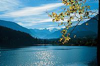 Narzissen, Almen, Berge; Seen.....