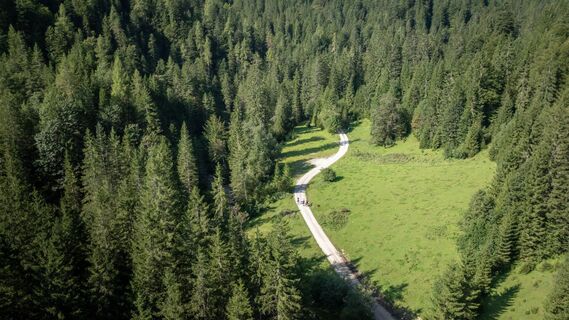 Tiroler Steinöl® Wanderung - am Beginn geht's durchs Unterautal