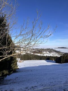 Foto de Cyrill Bischof a lo largo del recorrido