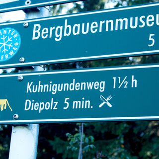 Immer der Kuhnigunde nach