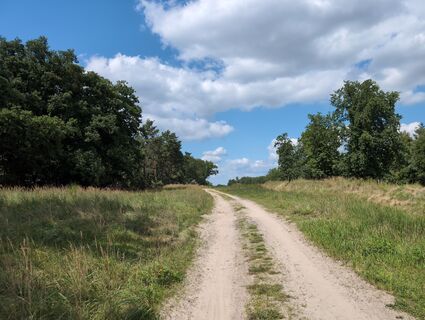 Fotografia z Marcel Zielinski na trase